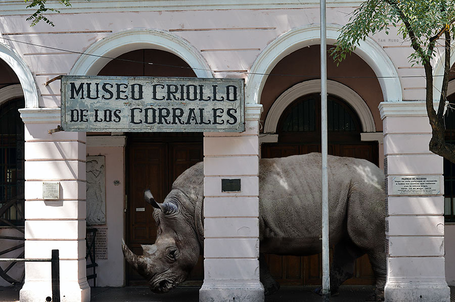 Museo Criollo
