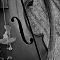 Ravé, el violín de tres cuerdas